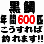 黒鯛　年間６００匹　落とし込み＆前打ち　こうすれば釣れます！！