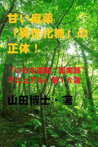 16.甘い麻薬「異性化糖」の正体！（山田博士作品集）