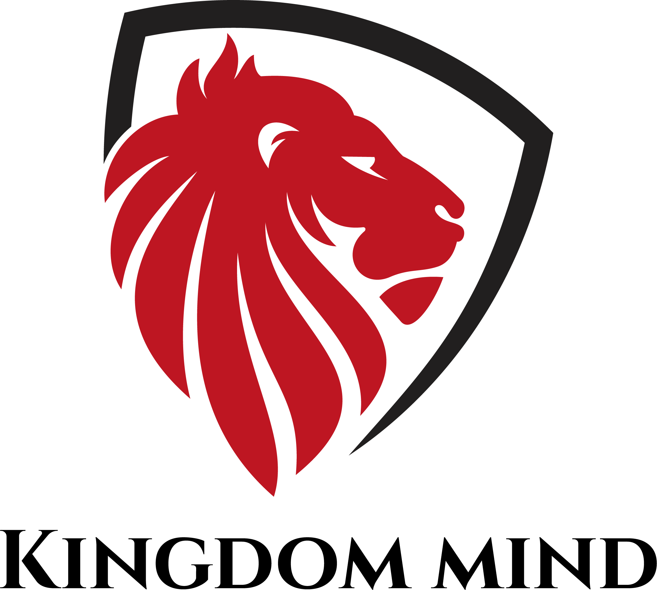 KINGDOM VISION　プレミアム