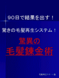 ふえた！はえた！９０日で結果を出す！驚きの毛髪再生システム”驚異の毛髪錬金術”A４版　１８０ページ