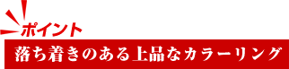 落ち着きのある上品なカラーリング